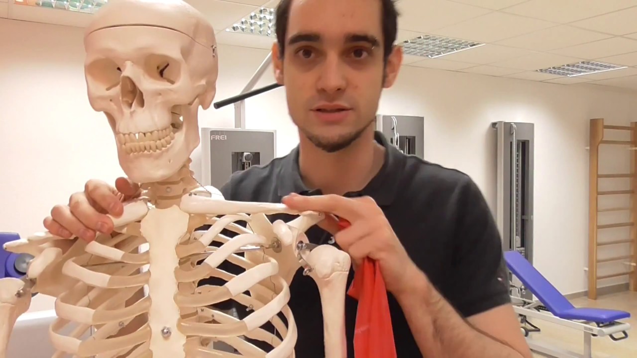 Impingement-Syndrom!!! Schulter-Arm Syndrom!!! Erklärt von Oliver Settelmeyer-PHYSIOMED SETTELMEYER-