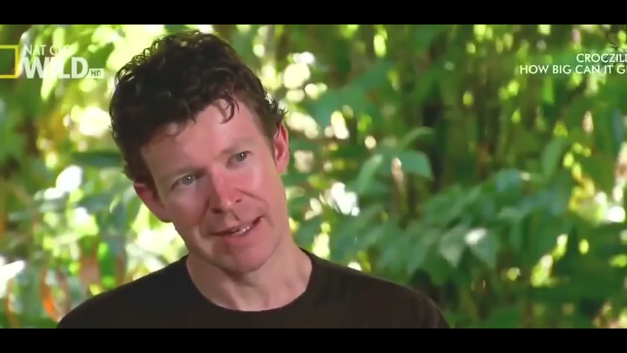 Nat geo documentary on prediction of how big can a crocodile grow