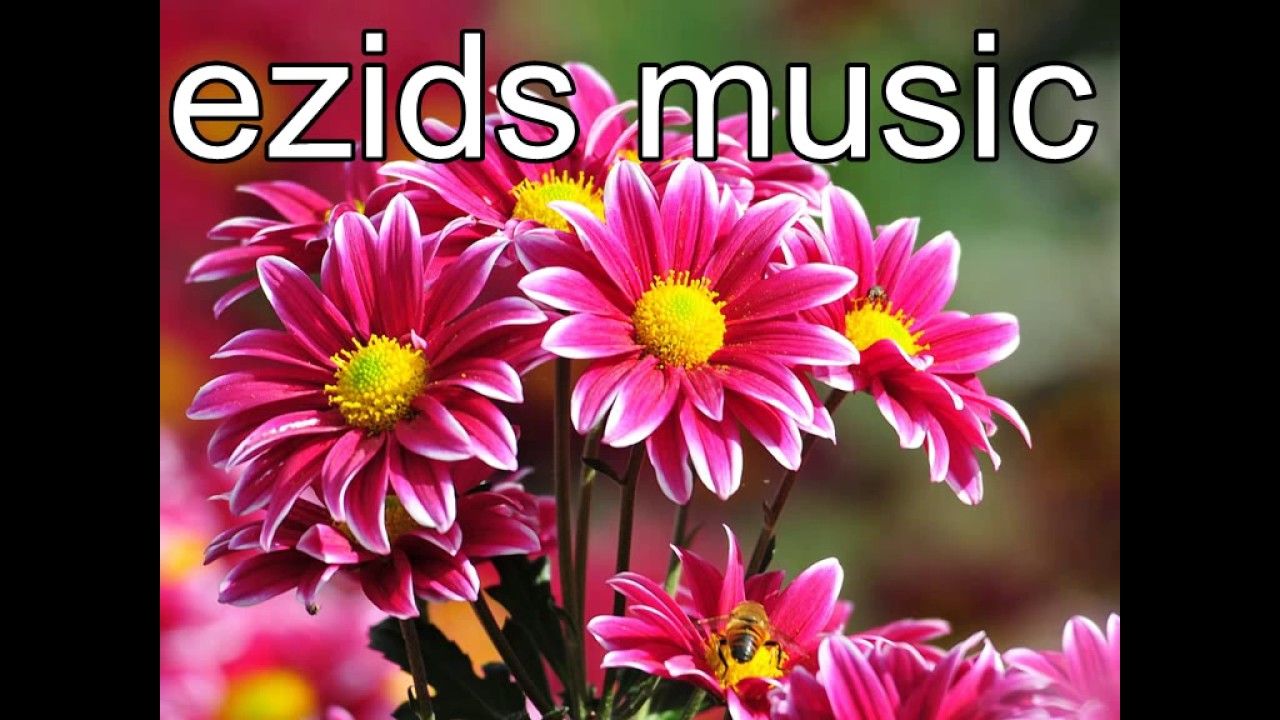 Manvel Agayan - Govend ( ezids music )