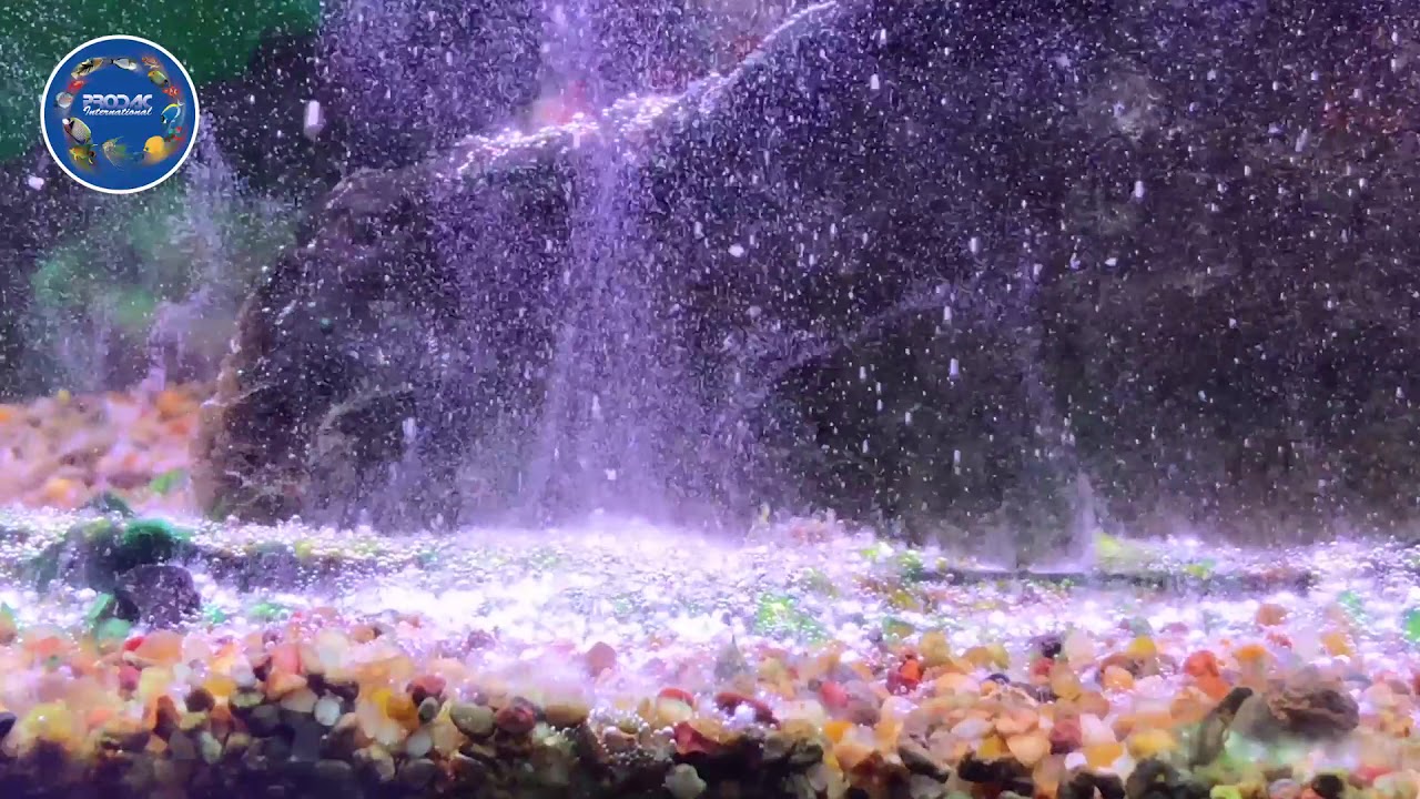 AQUASALZ di PRODAC:  acqua chiara  e fondo pulito!