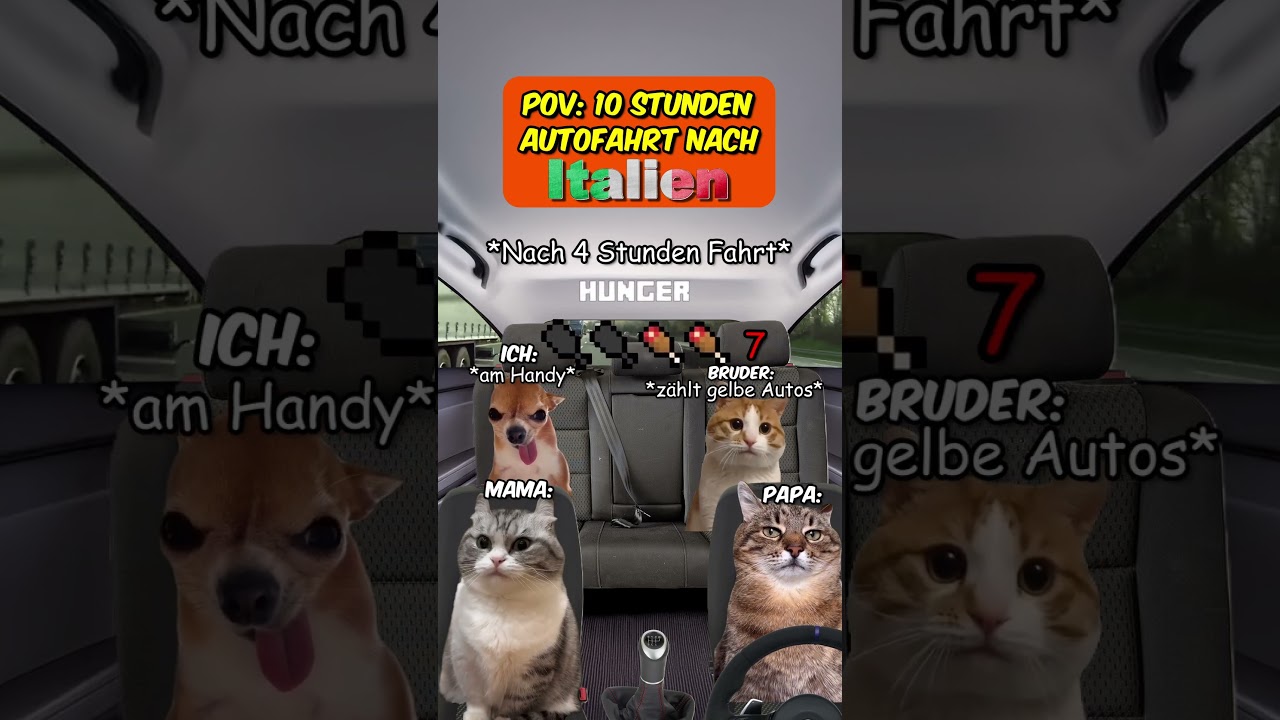 Pov: 10 Stunden Autofahrt nach Italien in den Urlaub #katzenvideos  #urlaub   #italien