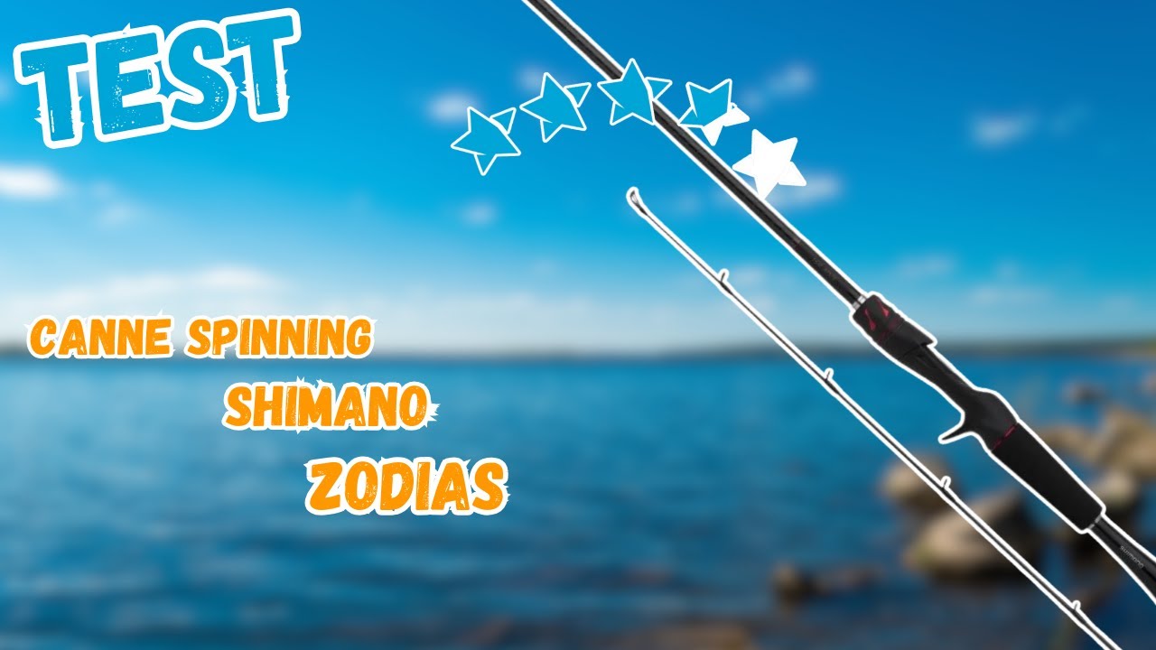 [TEST] Canne Spinning Shimano Zodias 8'