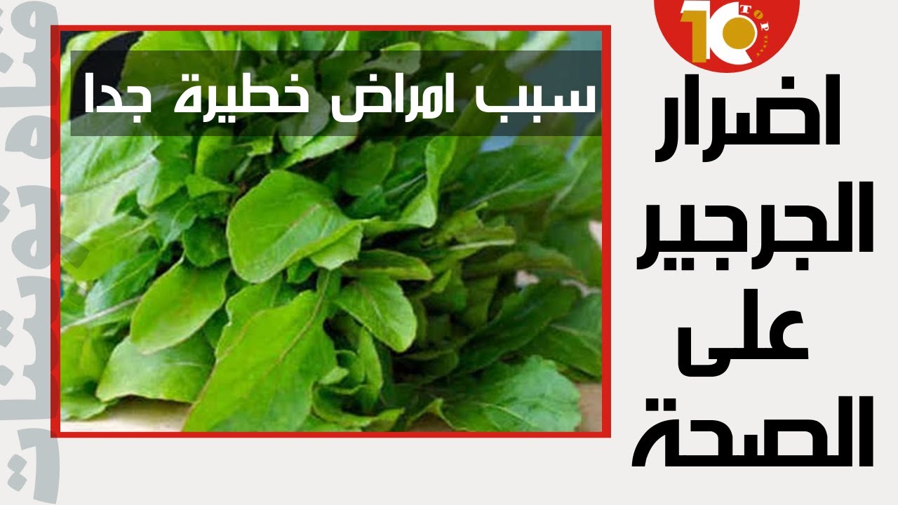 اكتشف اضرار الجرجير على صحتك - معلومات ستصدمك | ما هي أضرار الجرجير ؟  #فوائد