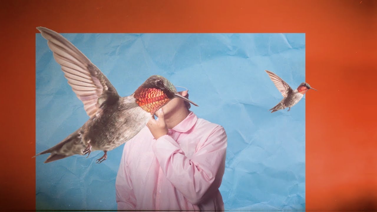 Filter Fauna - Amor Visceral