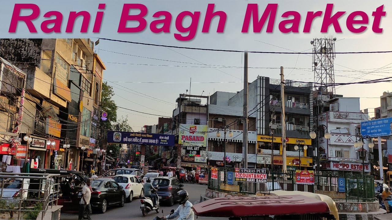 Rani Bagh Market North Delhi (Walk Around)