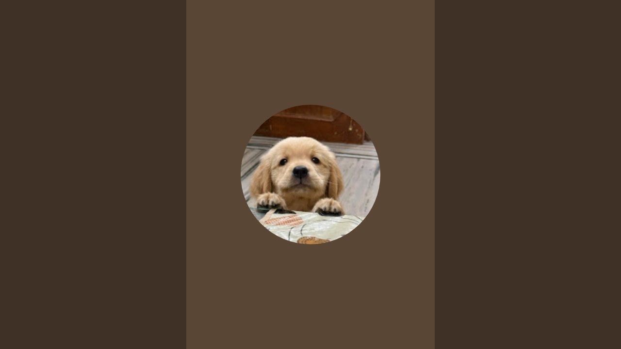 krapal is live