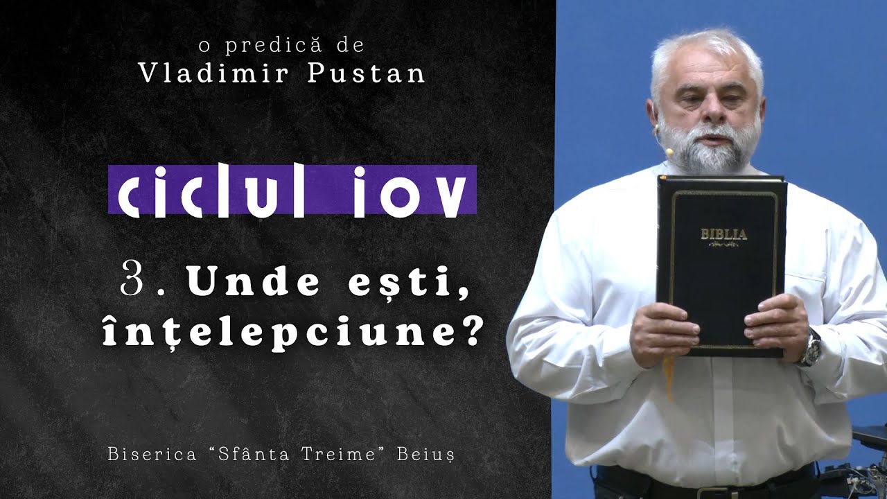 Vladimir Pustan | Ciclul 