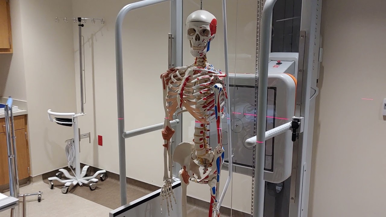 Scoliosis Exams in the Carestream Room (Room 3)