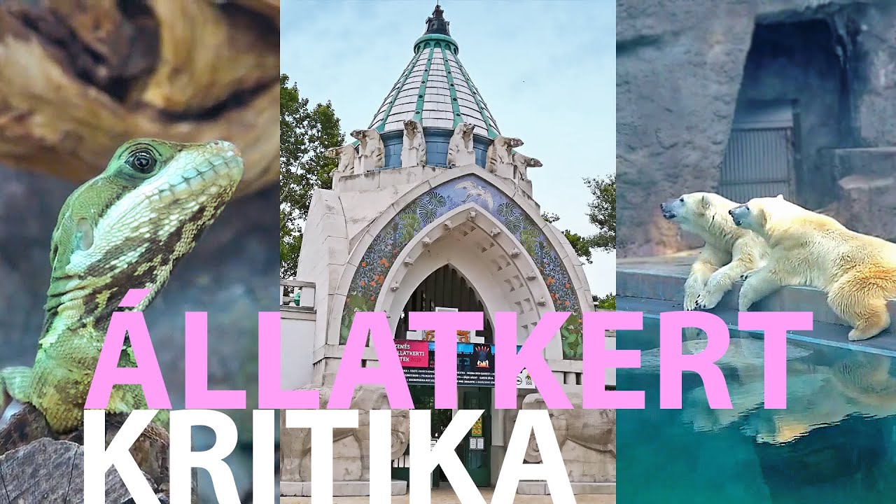 Budapesti &aacute;llatkert-kritika