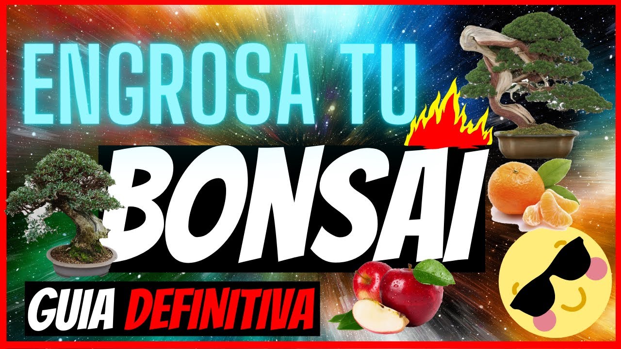 COMO ENGROSAR EL TRONCO DE TU BONSAI🌳PASO a PASO🌳(muy FACIL Y RAPIDO)