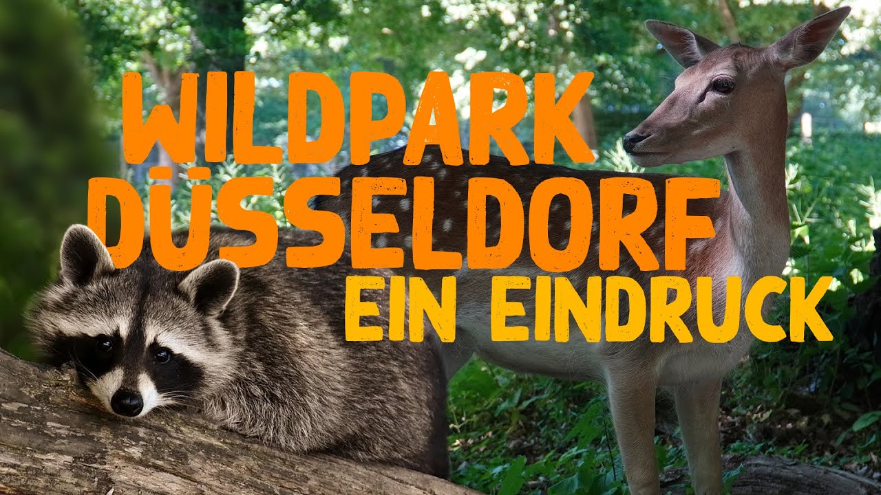 Wildpark Düsseldorf | Zoo Eindruck