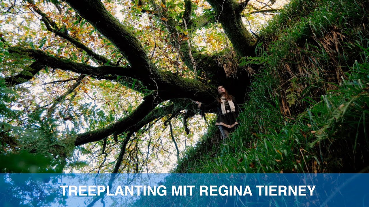 REGINA TIERNEY - Tree planting for every item sold