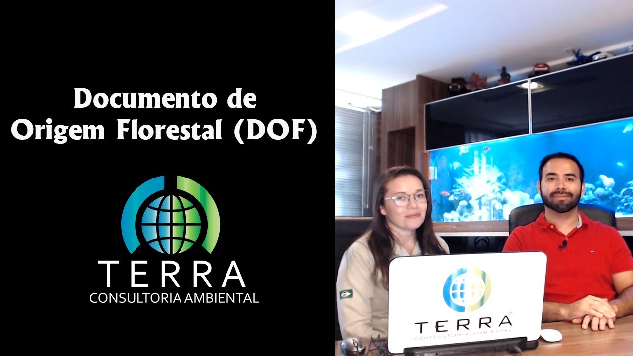 Documento de Origem Florestal (DOF)