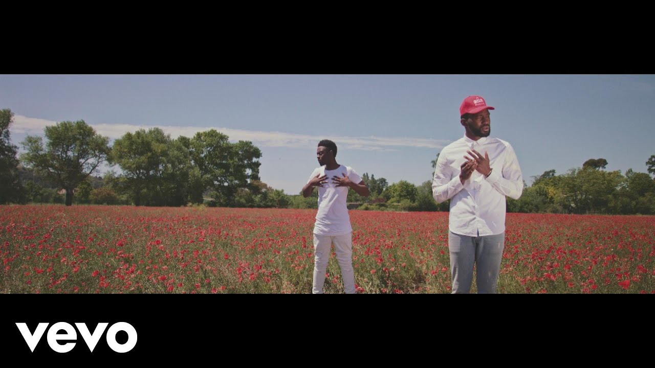 The Shin Seka&iuml; - Pour toi (Clip officiel)