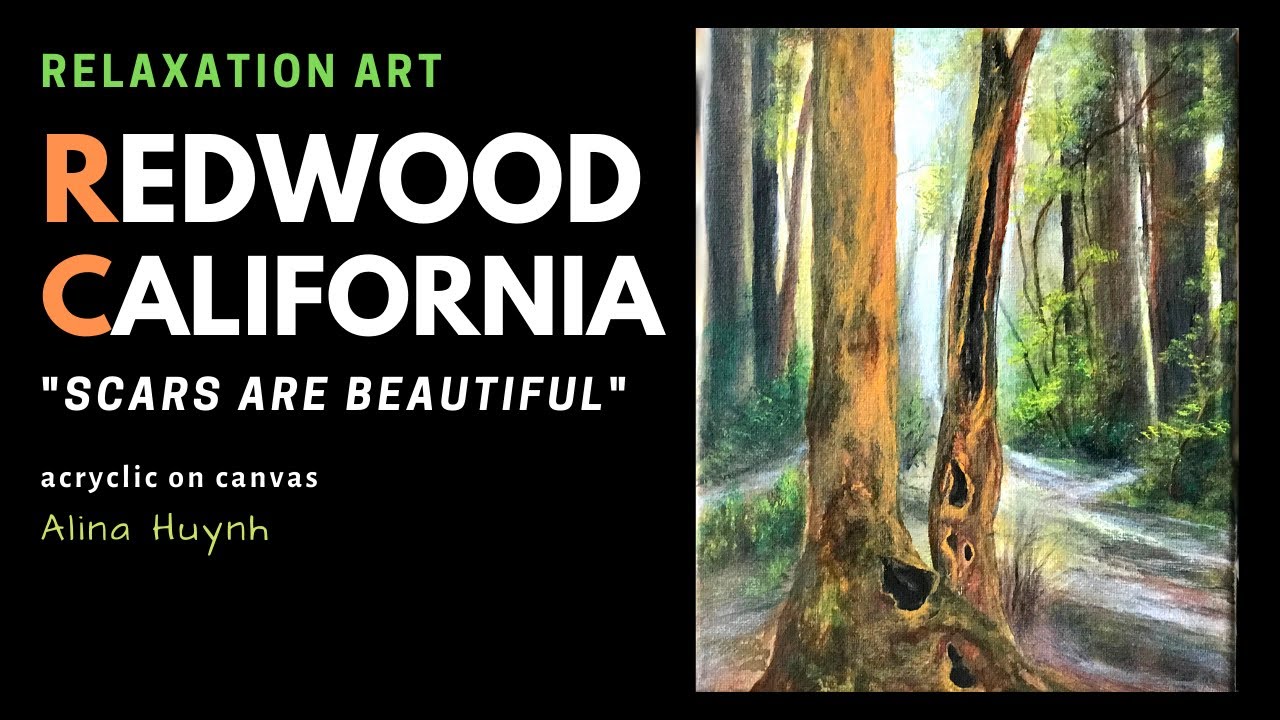 Redwood in California / Trees trunk/ scars / acrylic painting / vẽ tranh thư giãn