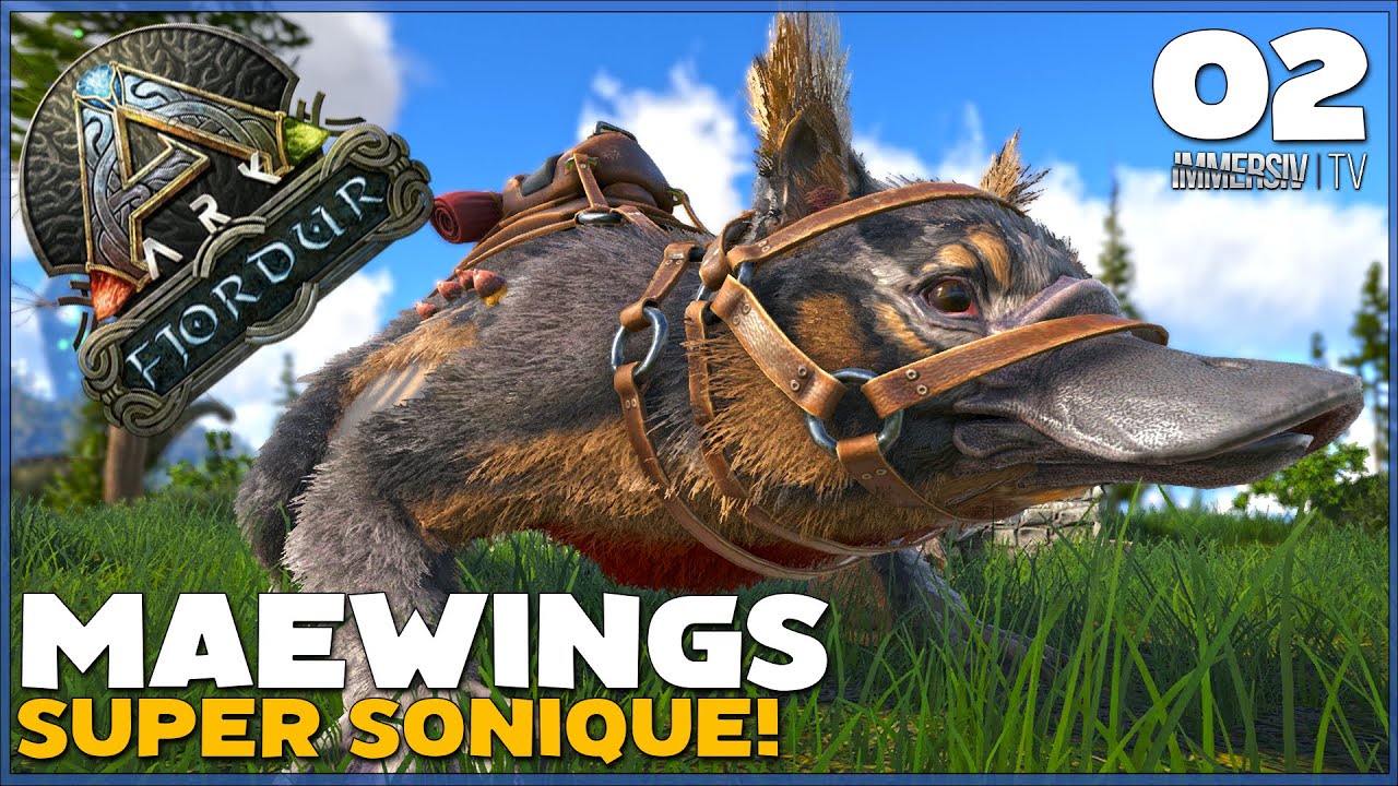 ARK FJORDUR FR | JE CAPTURE DES MAEWINGS SUPERSONIQUE | EP02