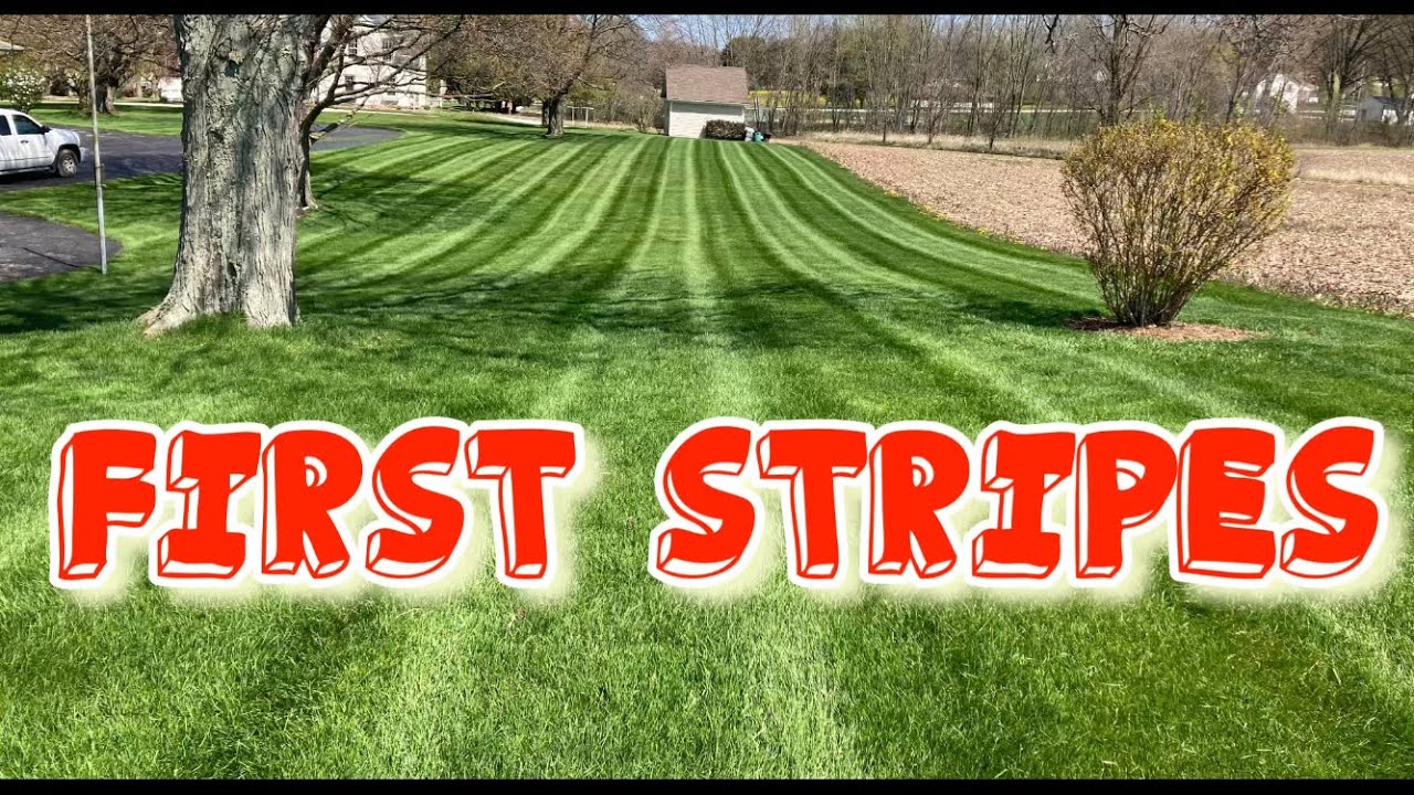 Mowing spring grass