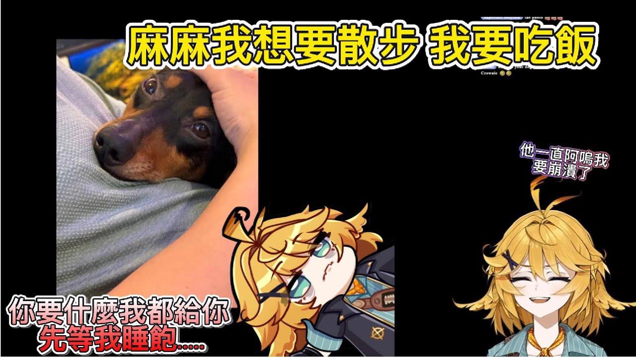 【Dokibird】D.A.D 最近被保姆寵壞了   開始一哭二鬧三哀怨，Doki快被氣死了 (可是學DAD叫的Doki很可愛)【Vtuber中文烤肉】