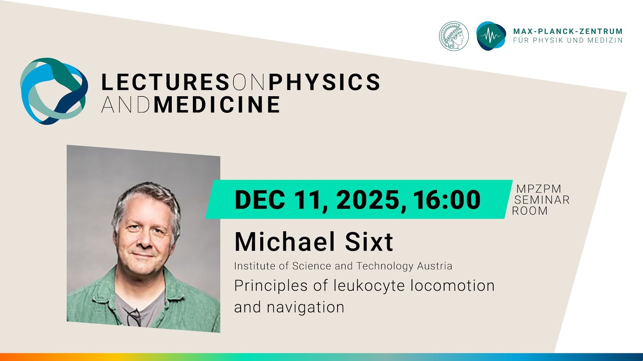 LPM with Michael Sixt: Principles of leukocyte locomotion and navigation