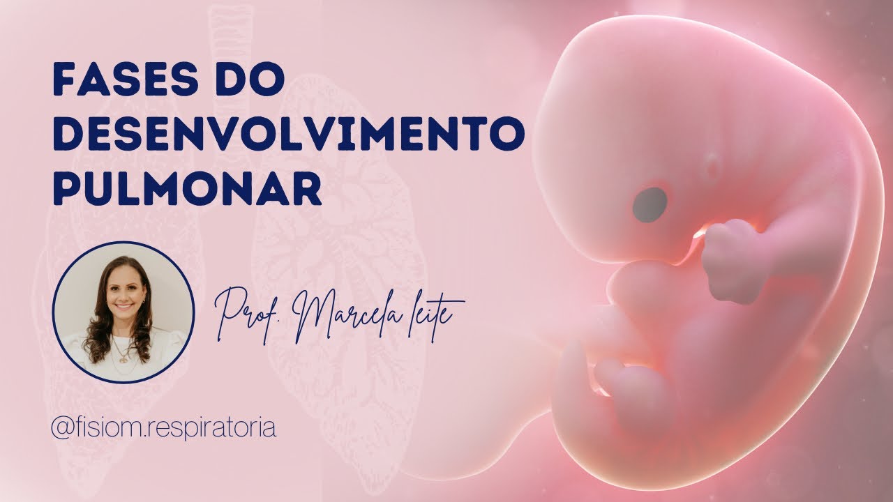 Fases do Desenvolvimento Pulmonar