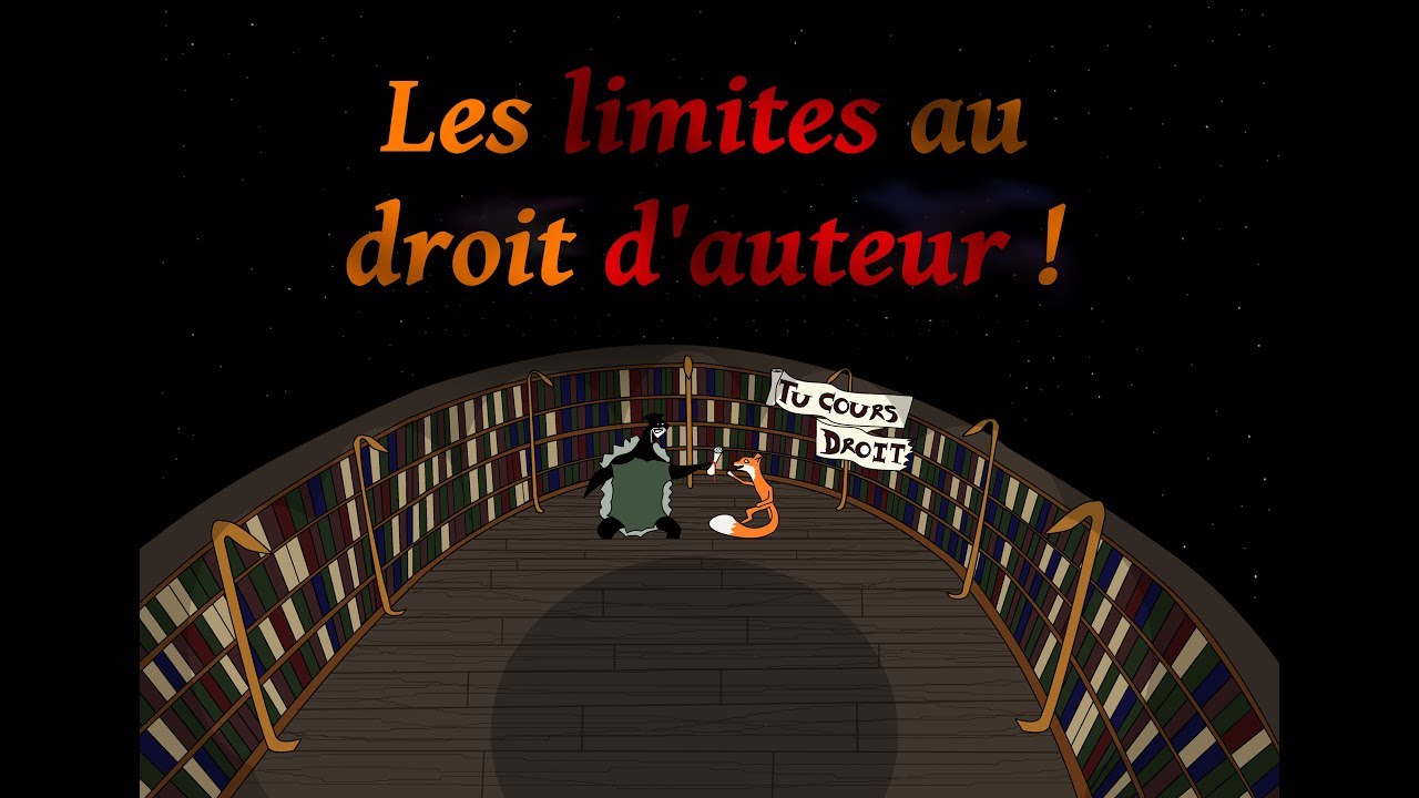 Limites et exceptions au droit d'auteur. Que peut-on mettre en ligne sans autorisation ?