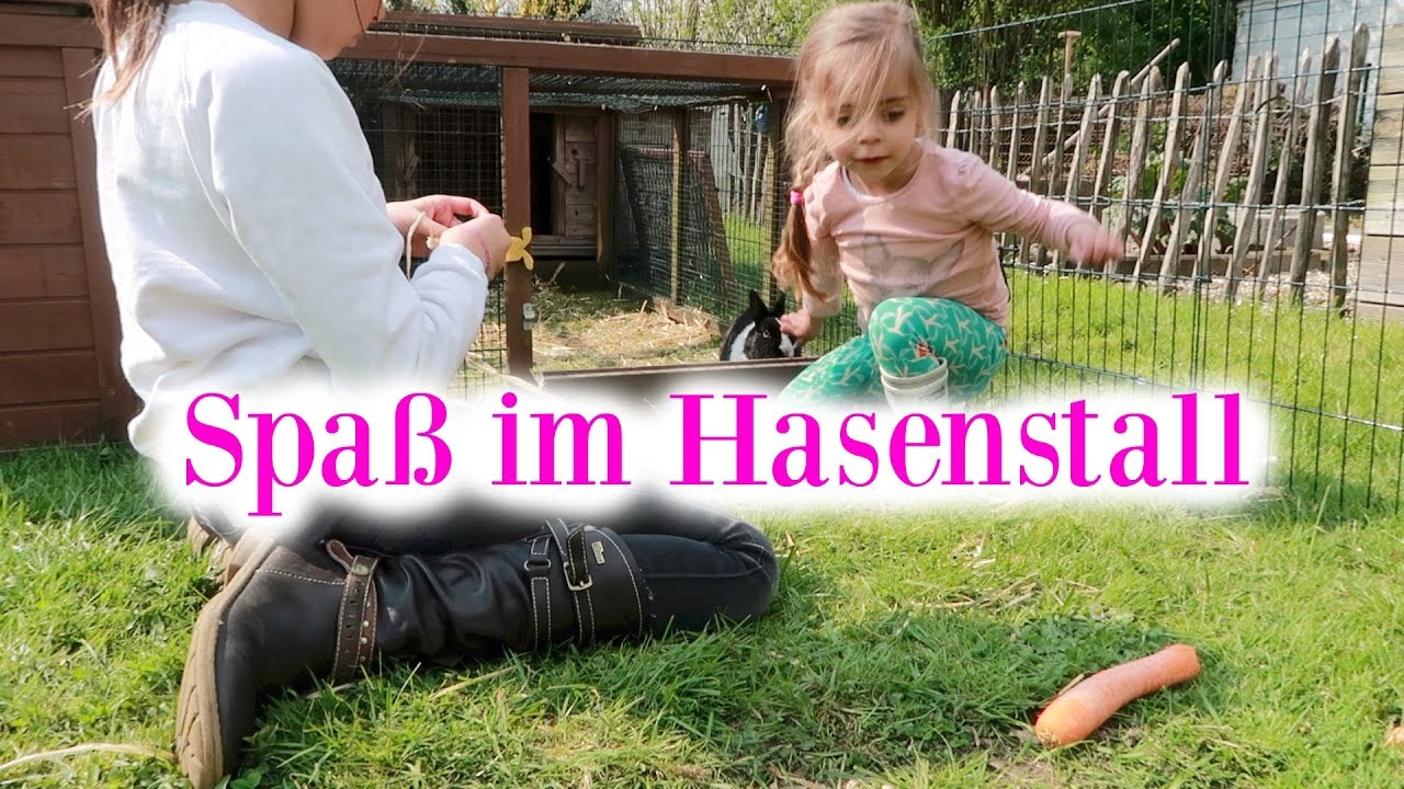 Spa&szlig; im Hasenstall - Vlog#733 Rosislife