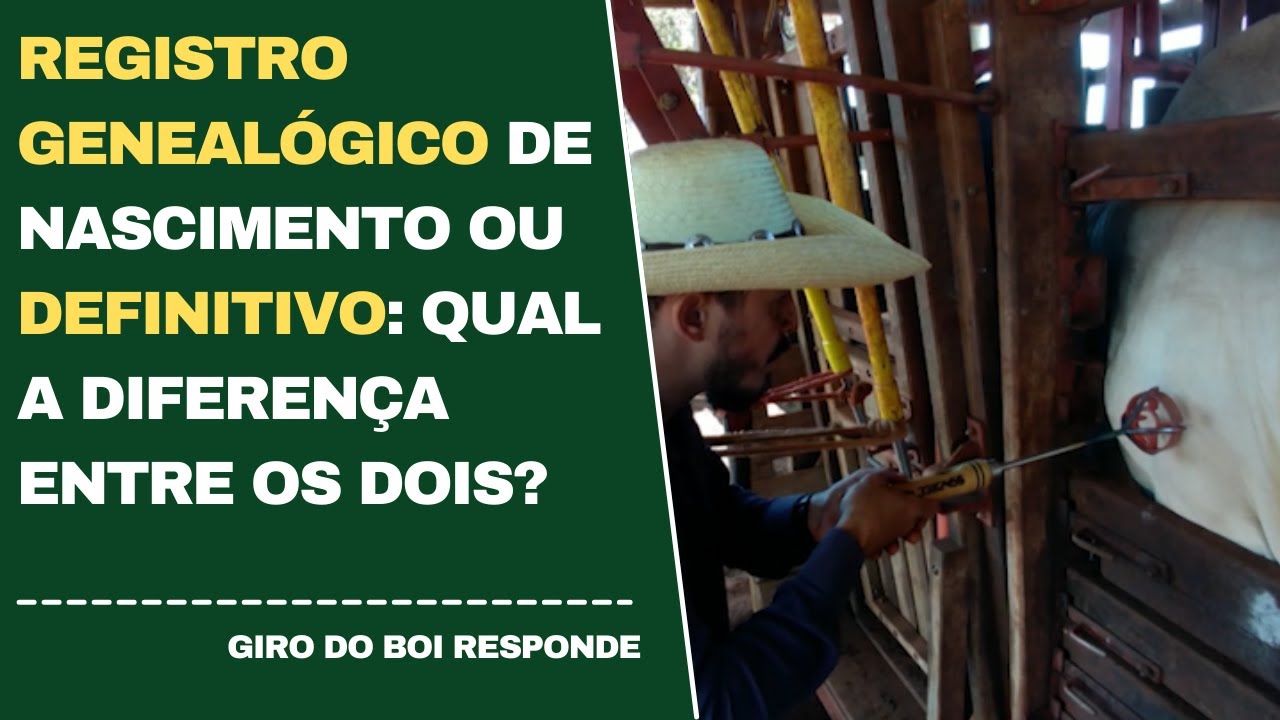 REGISTRO GENEAL&Oacute;GICO DE NASCIMENTO OU DEFINITIVO: QUAL A DIFEREN&Ccedil;A ENTRE OS DOIS?