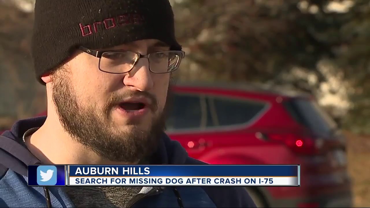 Animal Control, police working to find dog ejected from family vehicle