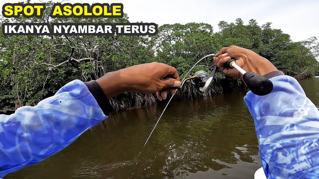 MANCING IKAN PAKAI UMPAN UDANG HIDUP