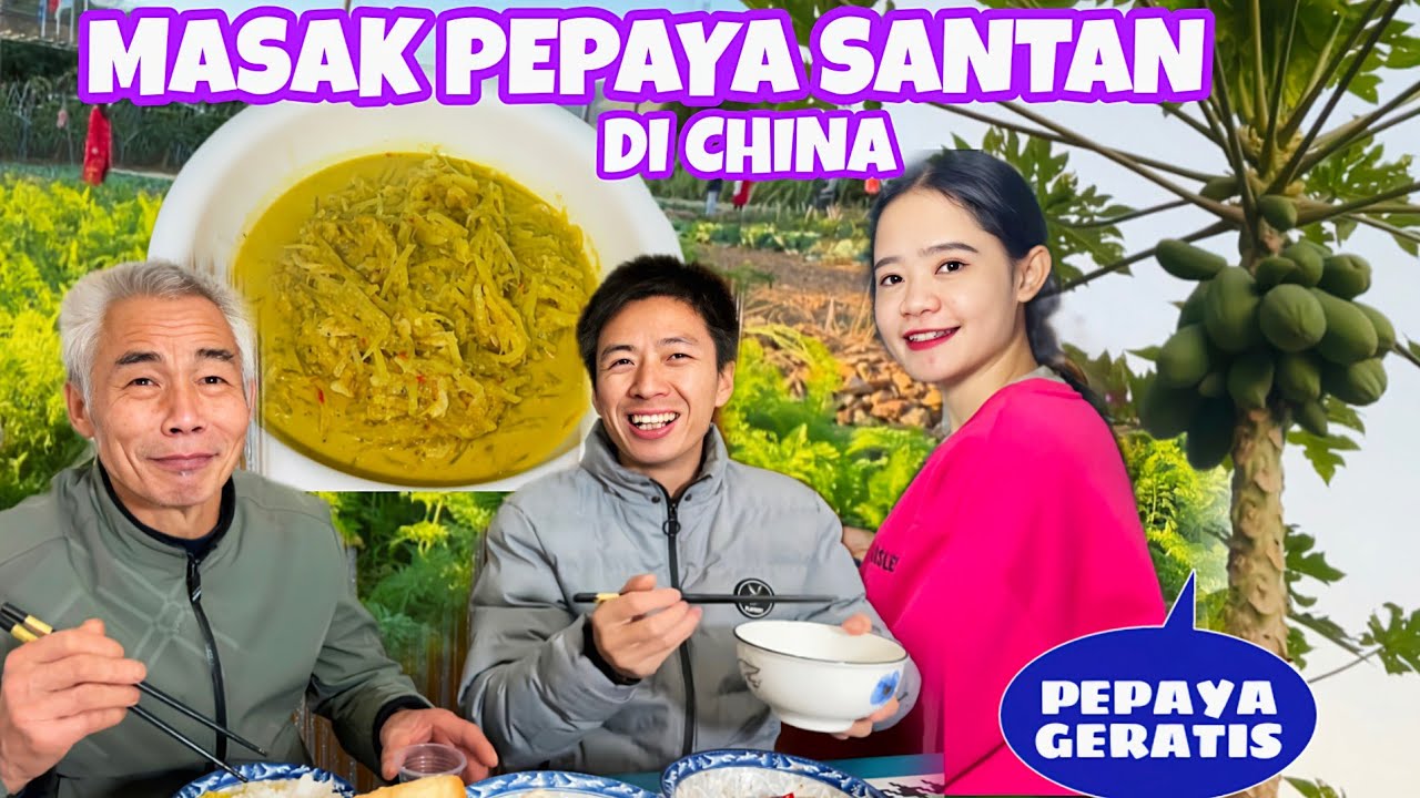 PEPAYA MUDA SANTAN TIKA PERTAMA KALI MASAK DI CHINA,REAKSI SUAMI DAN PAPA LUCU