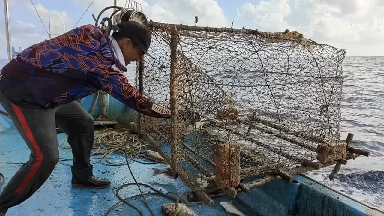 nelayan TRS3616 mengangkat bubu sotong katak di penghujung musim