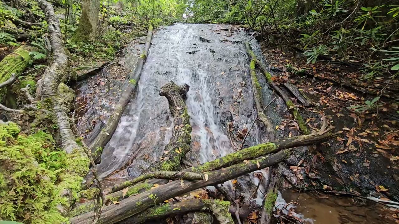 Lower Rufus Morgan Falls, NC
