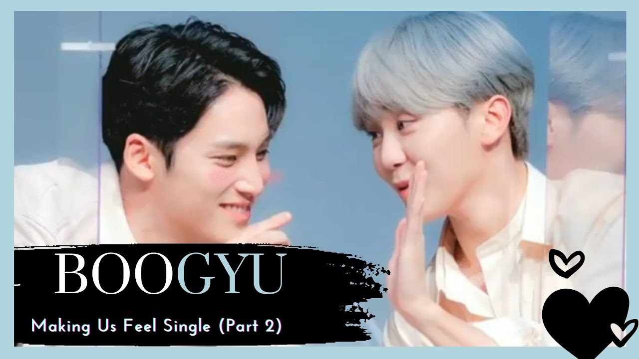 SEVENTEEN 세븐틴 BooGyu Moments 《Part 3》