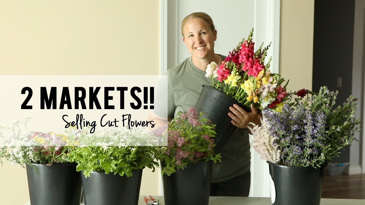 Two Market in One Week!!!  Selling Cut Flowers are the Farmer's Market, Sunshine and Flora