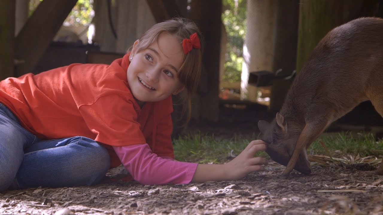 Make-A-Wish: Susanna Becomes a Zookeeper