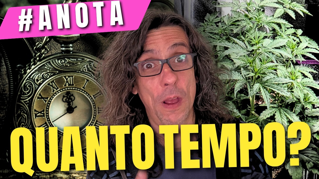 DESCUBRA: Qual &eacute; o TEMPO IDEAL de VEGETATIVO? Isso NINGU&Eacute;M FALA!