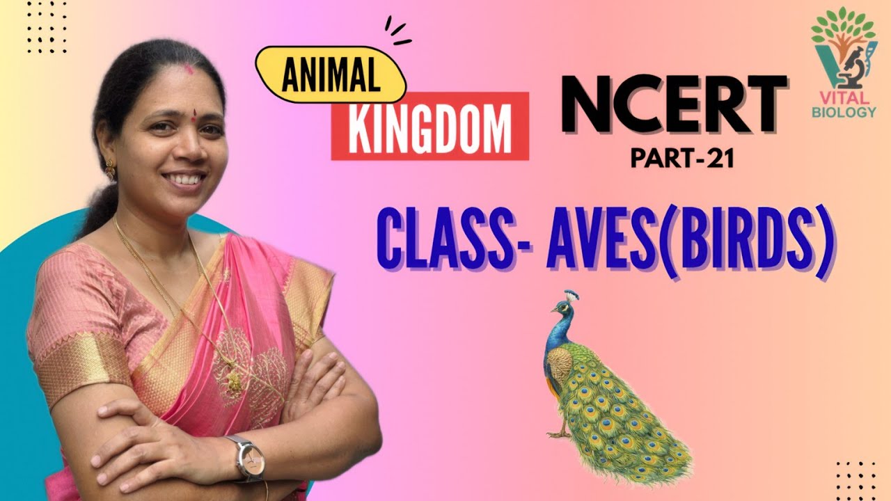 ANIMAL KINGDOM:[ P-21] CLASS- AVES(birds)-NCERT| Class 11 Biology | NEET Preparation
