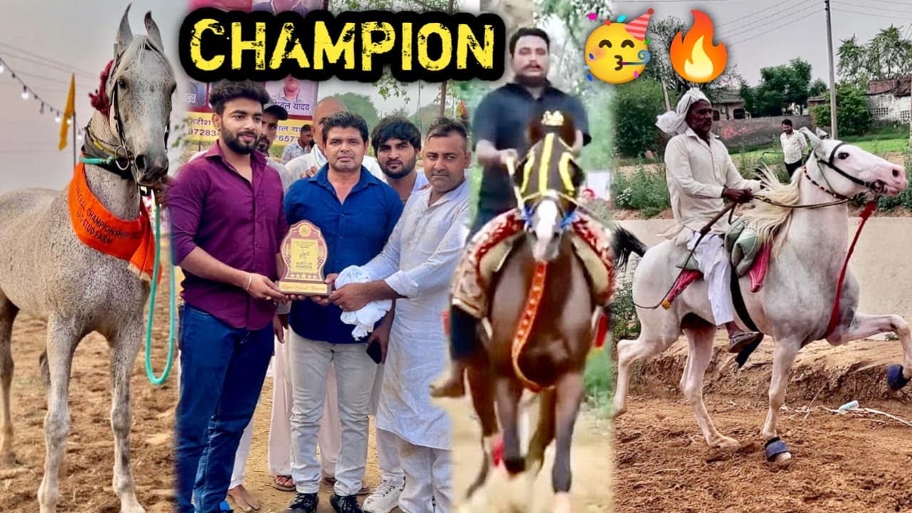 🥳SABK0 Dhul Chata D!💪😡BAN Gy@ CHAMPION ❣️FINALLY RAC€ JEET GYE