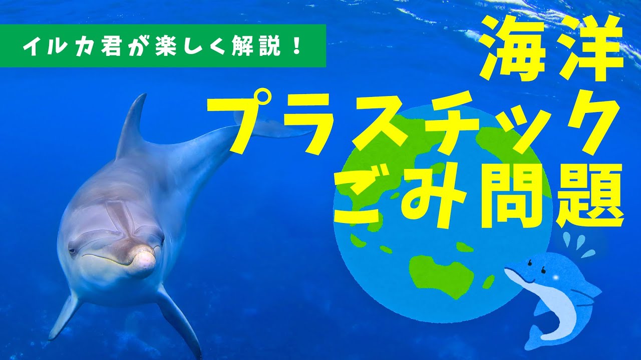 海洋プラスチックごみ問題について、イルカくんが教えてくれるよ！【ニンゲンのみんなへ   - ボク、地球が心配なんだ - 】