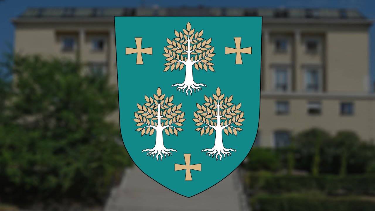 2025.10.16. Rendkívüli Képviselő-testületi ülés