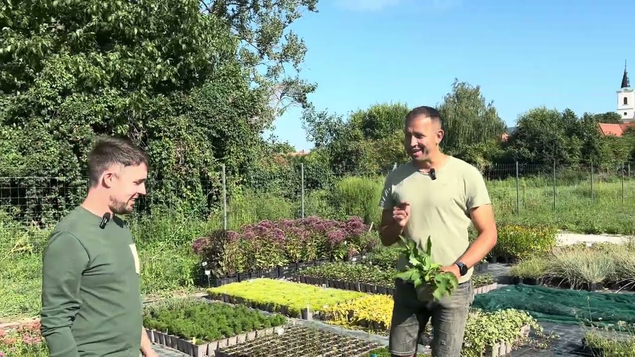 Florana évelő kerteszet Piliscséven