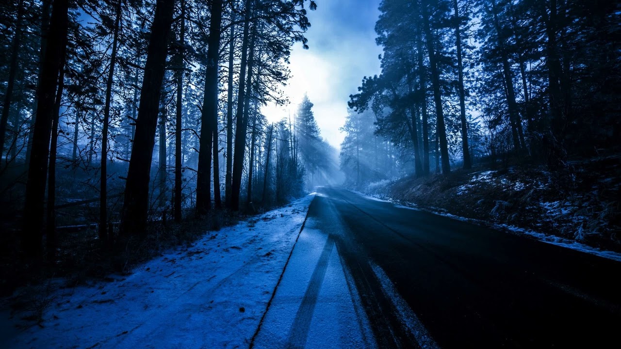 Deep & Dark Progressive House Mix February 2022 (Mixed by Norbert Marcus)