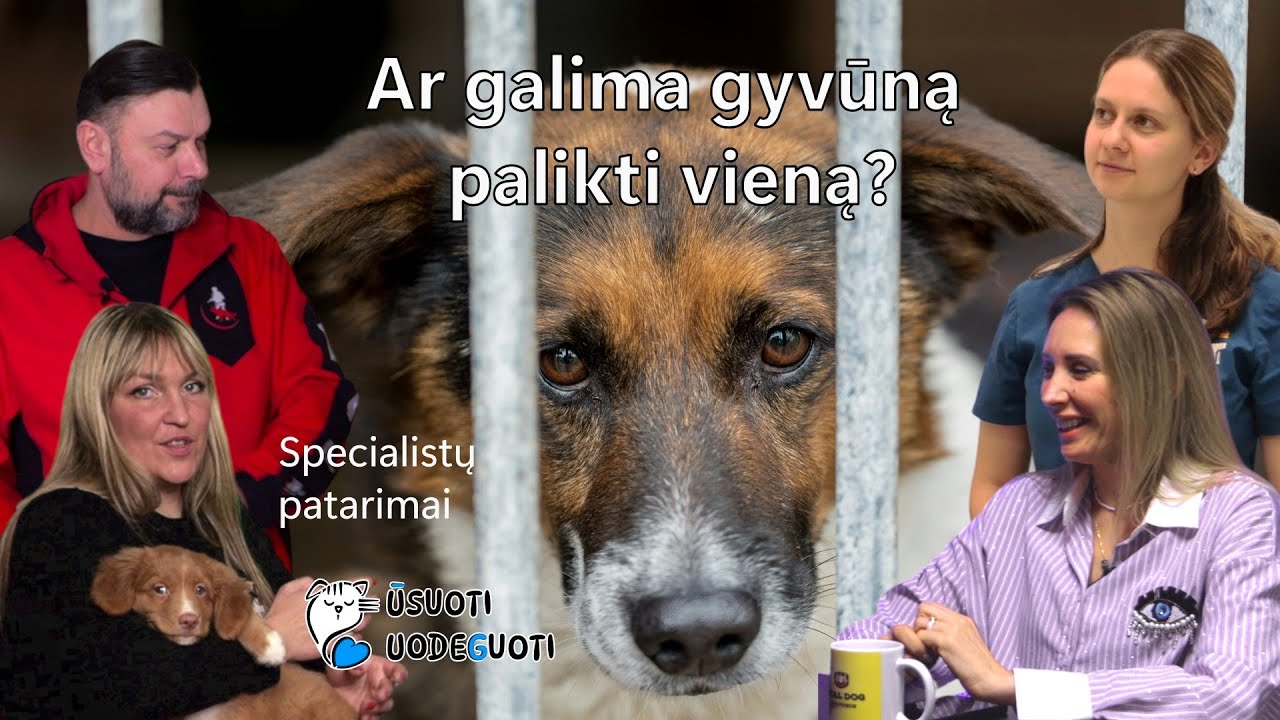Vienas namuose | Ar galima gyvūną palikti vieną? | Specialistų patarimai apie augintinius