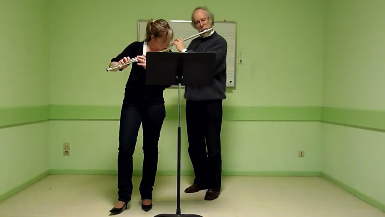 G P Telemann:  'Allegro'  (2 flutes).