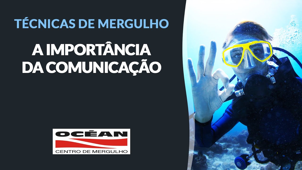 A Importância da Comunicação
