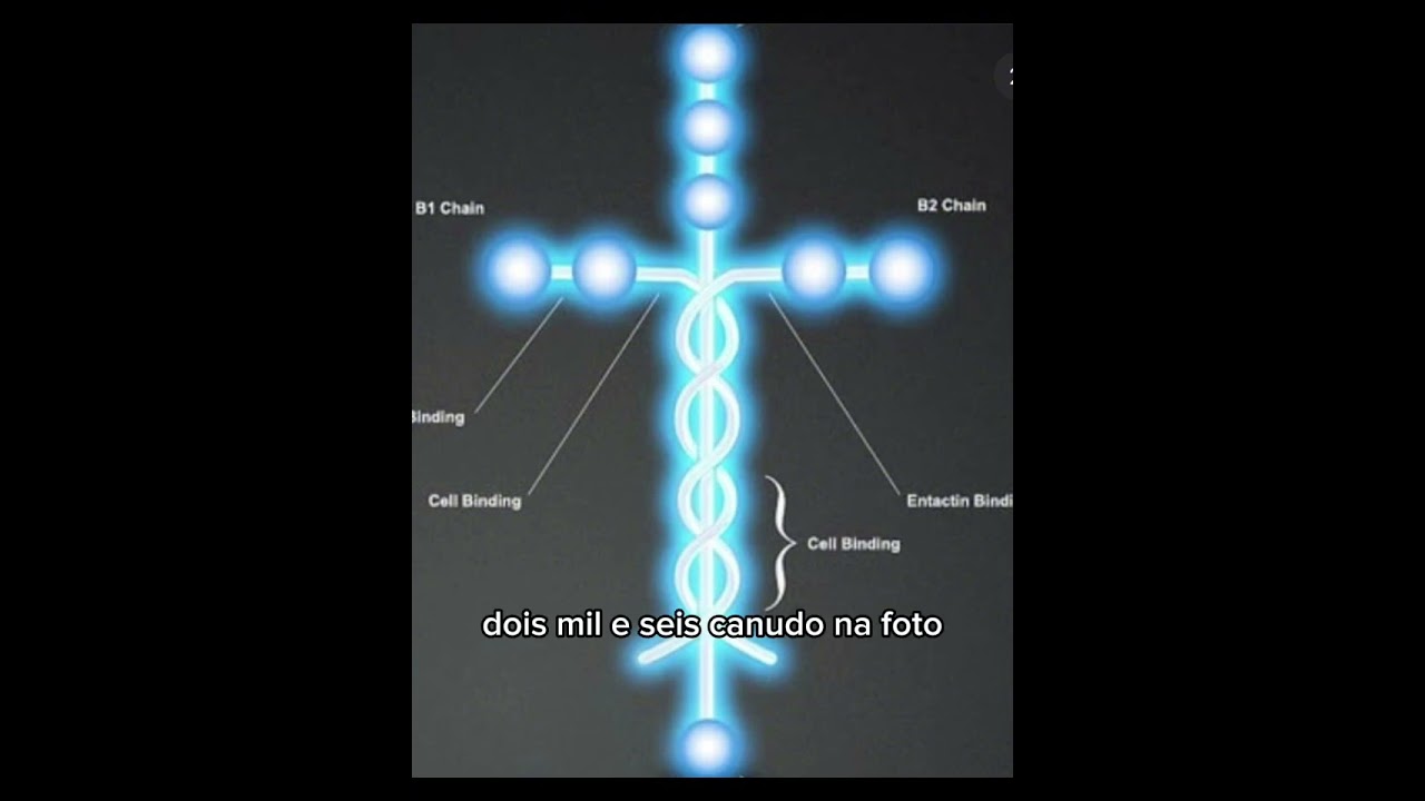 21 de fevereiro de 2026