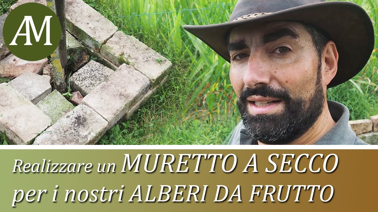 Orto e Giardino - Un muretto a secco per alberi e arbusti