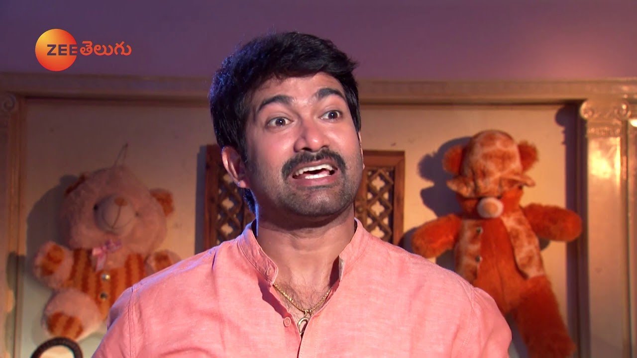 Gundamma Katha - గుండమ్మ కథ- Telugu Tv Serial - Kalki Raja & Pooja -Best Scene - Ep-209 - Zee Telugu
