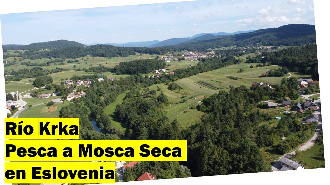 Río Krka // Pesca a Mosca Seca en Eslovenia