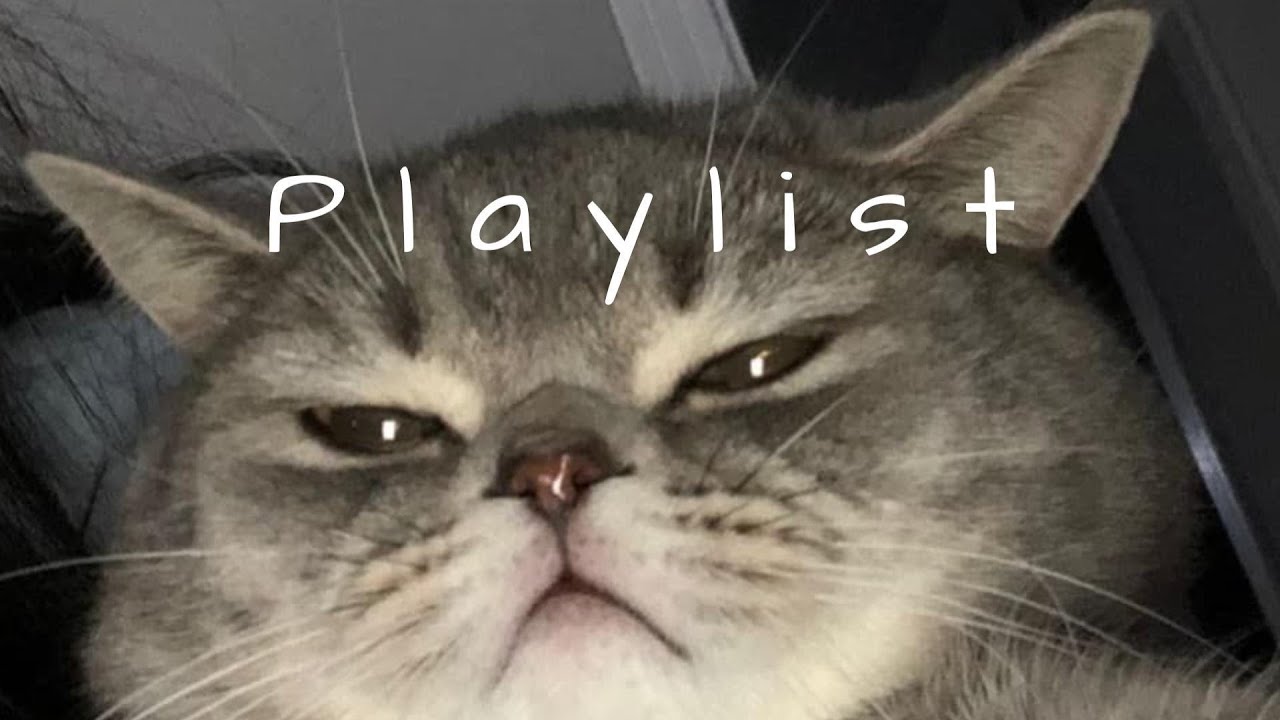 𝐏𝐥𝐚𝐲𝐥𝐢𝐬𝐭 월요병 치료제, 인스타에서 난리 난 그 chill한 감성 🤍🎧 | chill r&b · moody mood